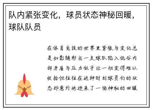 队内紧张变化，球员状态神秘回暖，球队队员